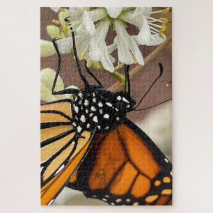 Puzzle Mariposa Monarca