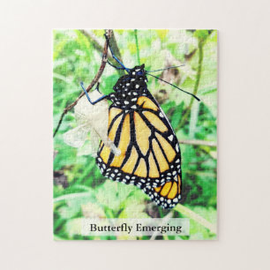 Puzzle Mariposa Monarca Eclosionando 252Pcs