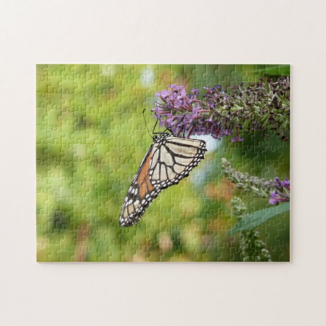 Puzzle Mariposa Monarca en Arbusto de Mariposas Púrpura (Horizontal)