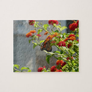Puzzle Mariposa Monarca en Arbusto de Mariposas Rojo
