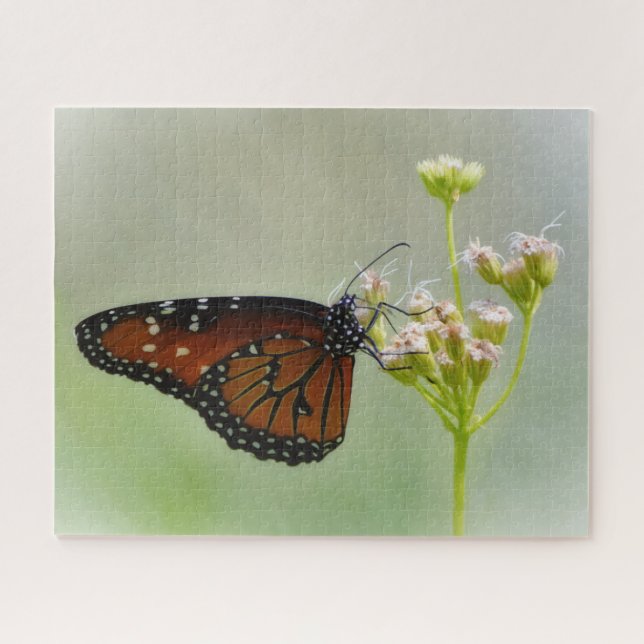 Puzzle Mariposa Monarca en Flores Naturaleza Gran Rompeca (Horizontal)