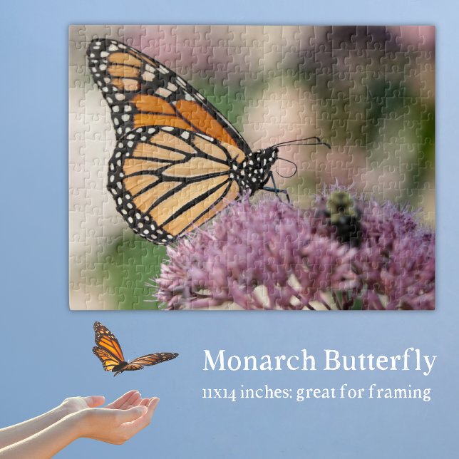Puzzle Mariposa monarca en la naturaleza de la flor silve (Monarch Butterfly Puzzle with a monarch on Ohio native wildflower joe pye weed.)