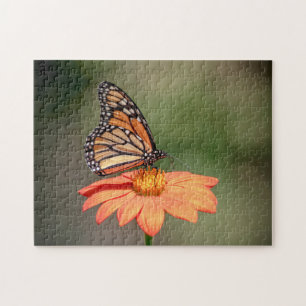 Puzzle Mariposa monarca en una flor naranja