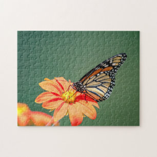 Puzzle Mariposa monarca en una flor naranja