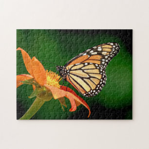 Puzzle Mariposa monarca en una flor naranja