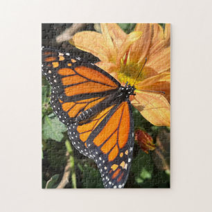 Puzzle Mariposa monarca sobre crisantemo
