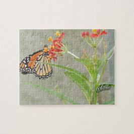 Puzzle Mariposa monarca y oruga