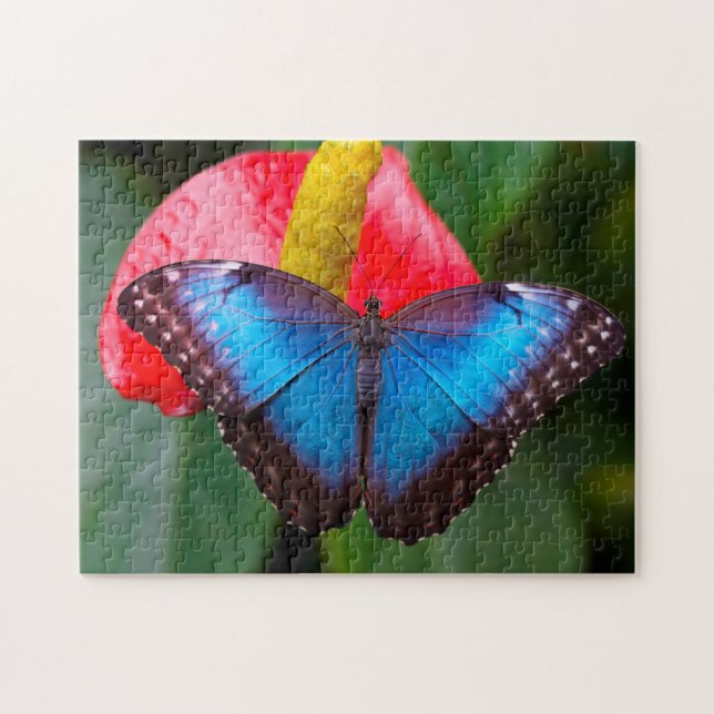 Puzzle Mariposa Morfo Azul. (Horizontal)