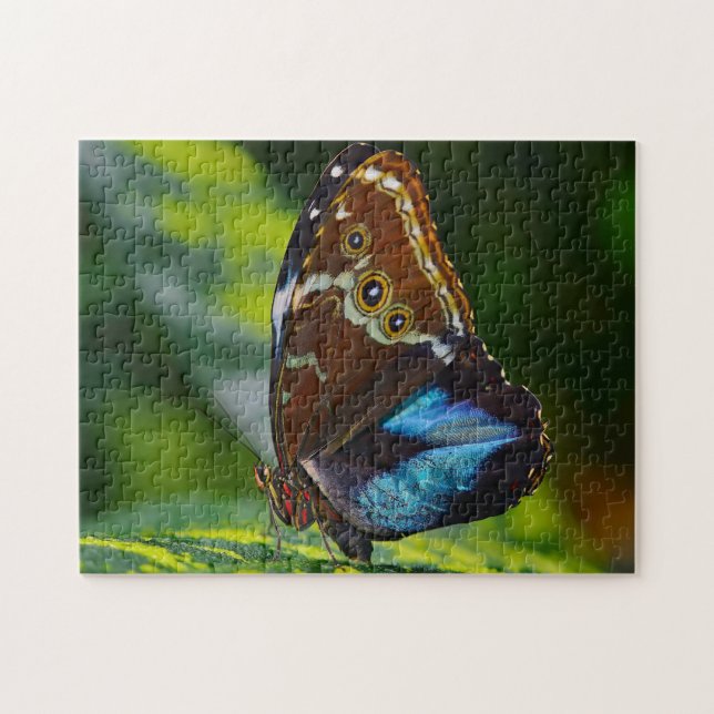 Puzzle Mariposa Morpho Peleides. (Horizontal)