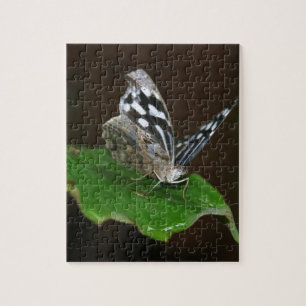 Puzzle Mariposa negra y blanca