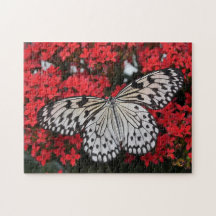 Mariposa negra y blanca