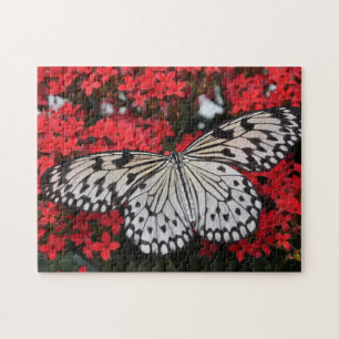 Puzzle Mariposa negra y blanca en el arbusto de las flore