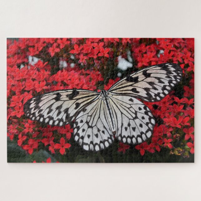 Puzzle Mariposa negra y blanca en la flor roja (Horizontal)