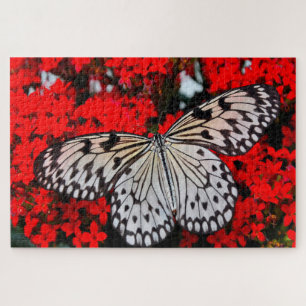 Puzzle Mariposa ninfa negra.