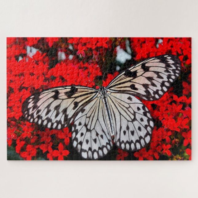 Puzzle Mariposa ninfa negra. (Horizontal)