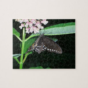Puzzle Mariposa nocturna cola de golondrina negra en Shen