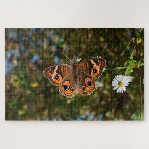 Puzzle Mariposa Ojo de venado.