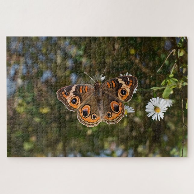 Puzzle Mariposa Ojo de venado. (Horizontal)