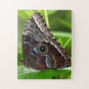 Puzzle Mariposa oscura sentada en hojas en la naturaleza
