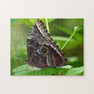 Puzzle Mariposa oscura sentada en la hoja