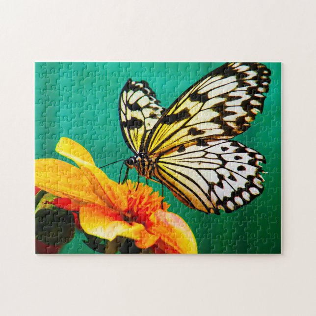 Puzzle Mariposa Papel Volantín. (Horizontal)