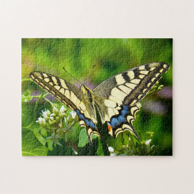 Puzzle Mariposa Papilio Machaon. (Horizontal)