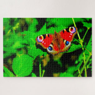 Puzzle Mariposa pavo real.