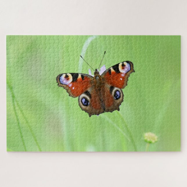 Puzzle Mariposa Pavo Real (Horizontal)