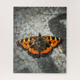 Puzzle Mariposa pequeña Tortoiseshel