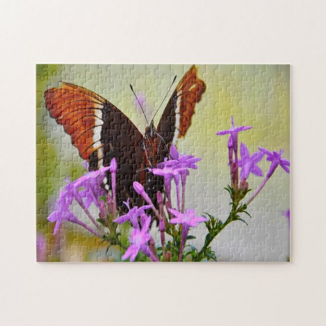 Puzzle Mariposa Pintada Lady. (Horizontal)