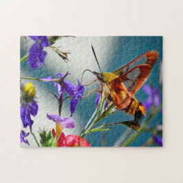 Puzzle Mariposa polilla esfinge colibrí.
