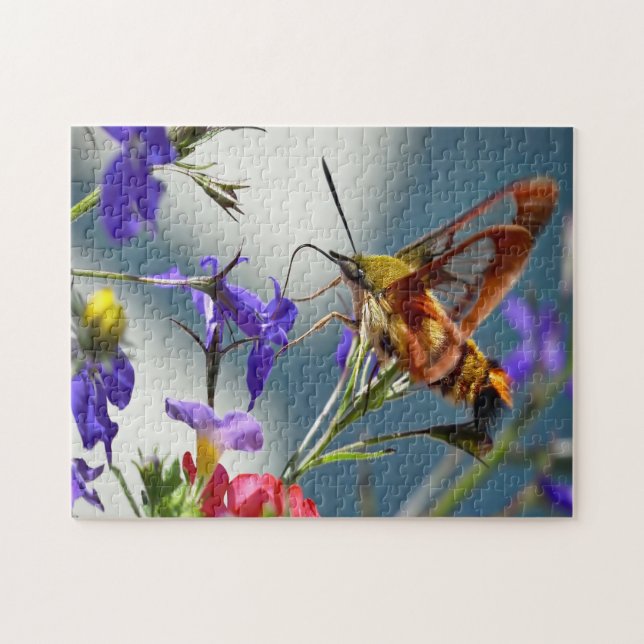 Puzzle Mariposa polilla esfinge colibrí. (Horizontal)
