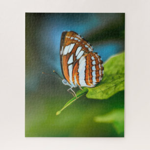 Puzzle Mariposa rayada blanca y naranja