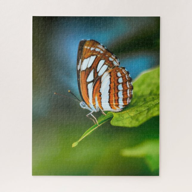 Puzzle Mariposa rayada blanca y naranja (Vertical)
