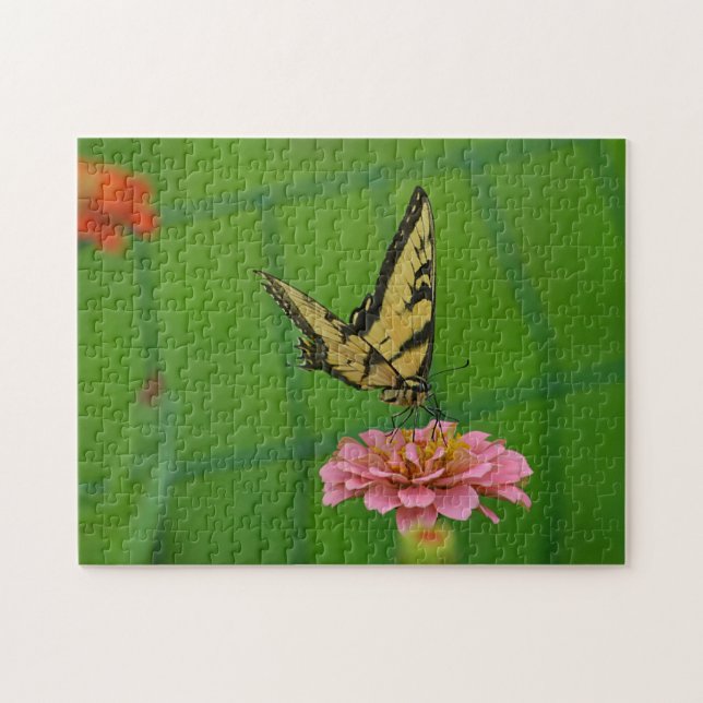 Puzzle Mariposa Soñada En Zinnia Rosa (Horizontal)