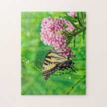Mariposa Swallowtail del Tigre del Este