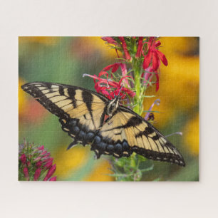 Puzzle Mariposa Trasera De Tigre Y Flor Cardinal