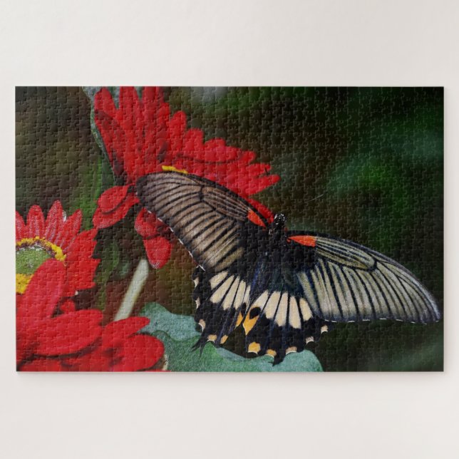 Puzzle Mariposa y flores (Horizontal)