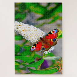 Puzzle Mariposas Almirante Rojo.