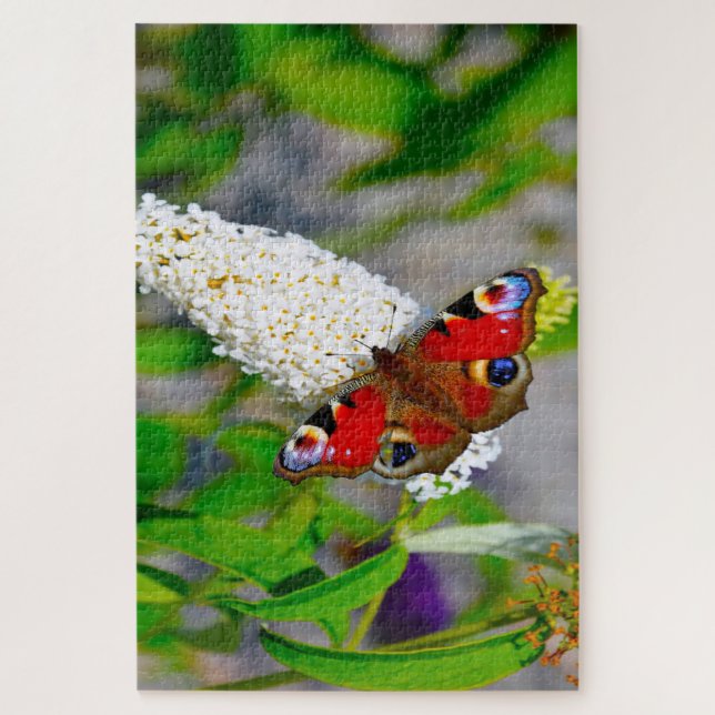 Puzzle Mariposas Almirante Rojo. (Vertical)