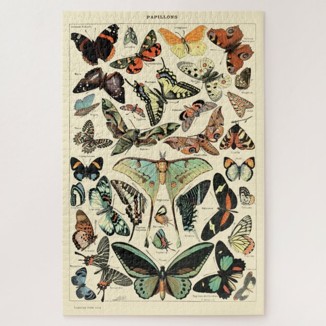 Puzzle Mariposas antiguas por Adolphe Millot Poster (Vertical)
