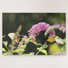 Puzzle Mariposas de cola de cerda negra y amarilla