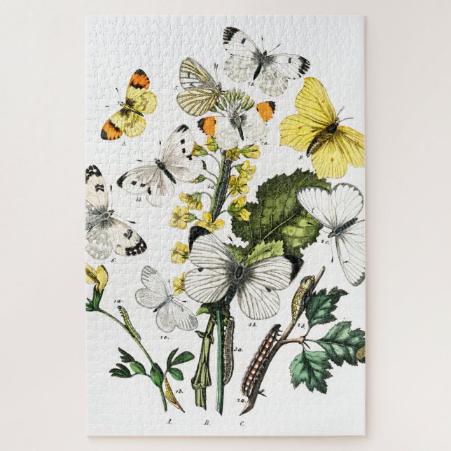 Puzzle Mariposas de época (Vertical)