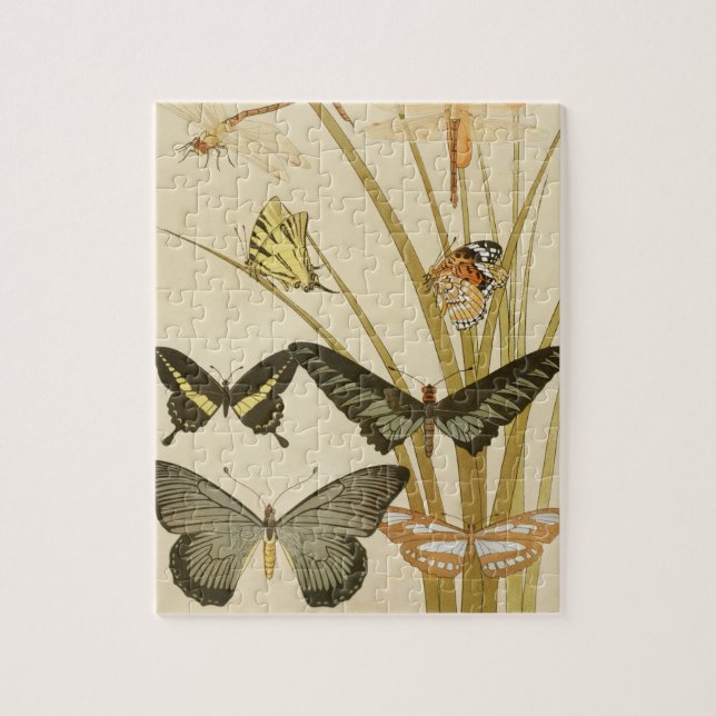 Puzzle Mariposas de época Papillons Ilustracion Art (Vertical)