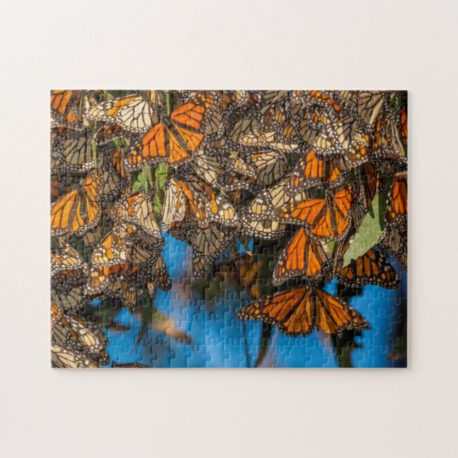 Puzzle Mariposas monarca migratorias se aferran a las hoj (Horizontal)
