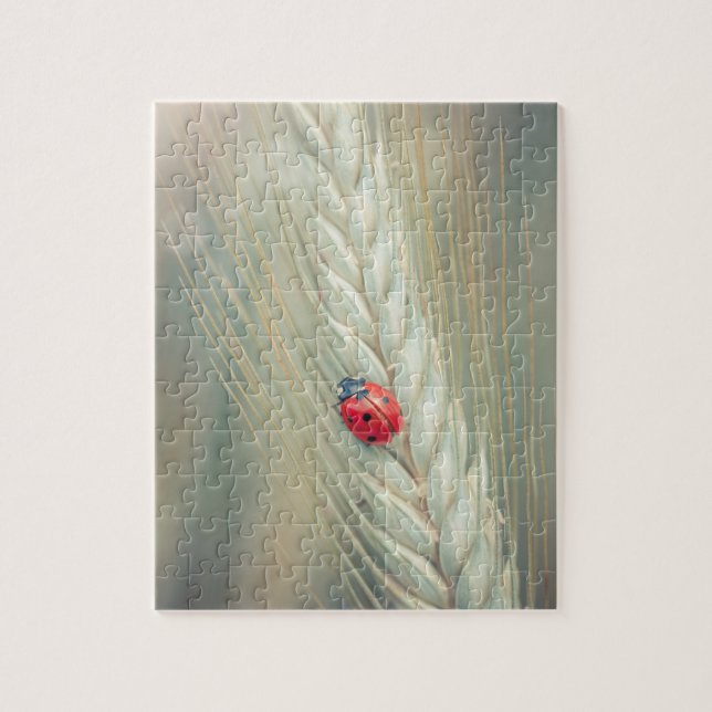 Puzzle Mariquita (Vertical)