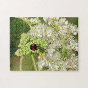 Puzzle Mariquita negra