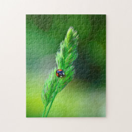 Puzzle Mariquita negra en camino....