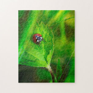 Puzzle Mariquitas en la naturaleza verde