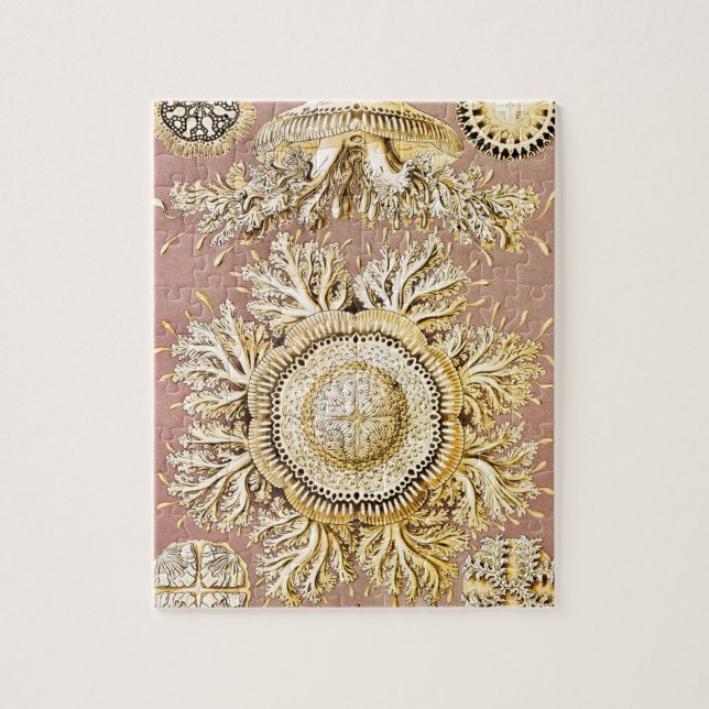 Puzzle Marisco, Discomedusae de Ernst Haeckel (Vertical)